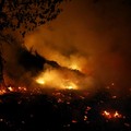 Kebakaran lahan di Pulang Pisau, Provinsi Kalimantan Tengah, Rabu (12/8/2028). (REUTERS/Ajeng Dinar Ulfiana)