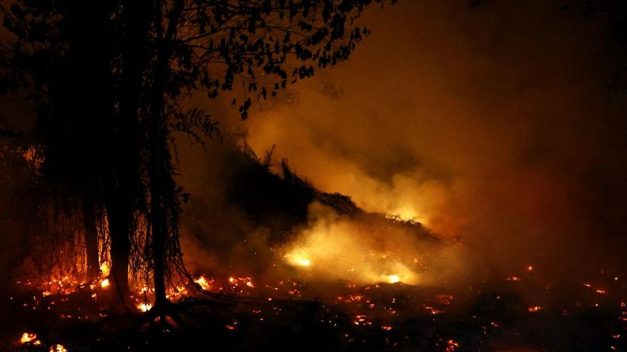 Kebakaran lahan di Pulang Pisau, Provinsi Kalimantan Tengah, Rabu (12/8/2028). (REUTERS/Ajeng Dinar Ulfiana) Kebakaran lahan di Pulang Pisau, Provinsi Kalimantan Tengah, Rabu (12/8/2028). (REUTERS/Ajeng Dinar Ulfiana)