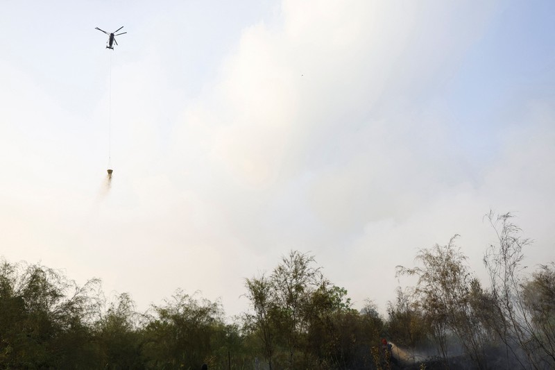 Kebakaran hutan dan lahan di Desa Tumbang Nusa, Pulang Pisau, Provinsi Kalimantan Tengah, Kamis (13/8/2026). (REUTERS/Ajeng Dinar Ulfiana)