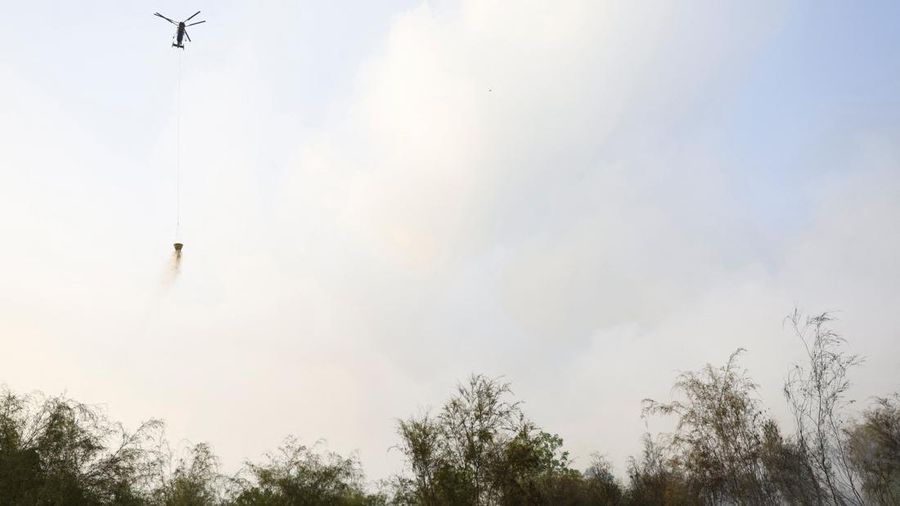 Kebakaran lahan di Pulang Pisau, Provinsi Kalimantan Tengah, Rabu (12/8/2028). (REUTERS/Ajeng Dinar Ulfiana) Kebakaran lahan di Pulang Pisau, Provinsi Kalimantan Tengah, Rabu (12/8/2028). (REUTERS/Ajeng Dinar Ulfiana)