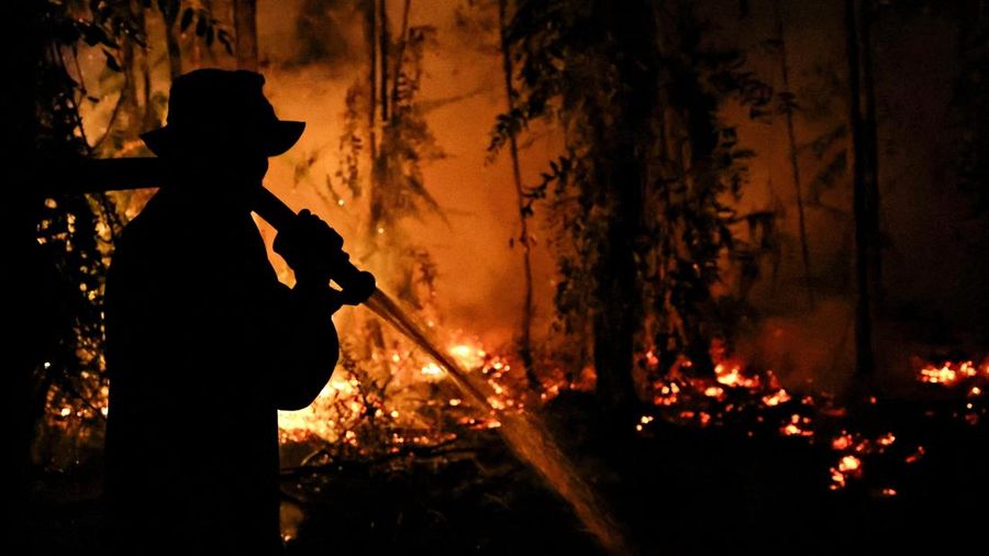 Kebakaran lahan di Pulang Pisau, Provinsi Kalimantan Tengah, Rabu (12/8/2028). (REUTERS/Ajeng Dinar Ulfiana)