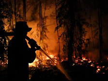 Kebakaran lahan di Pulang Pisau, Provinsi Kalimantan Tengah, Rabu (12/8/2028). (REUTERS/Ajeng Dinar Ulfiana)