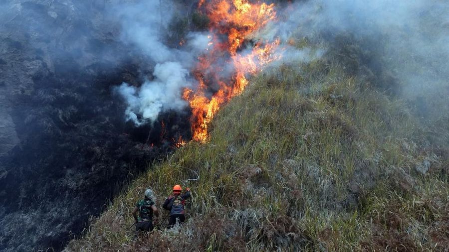 Penanganan karhutla TNBTS diperkuat dengan 540 personel dan pemadaman darat-udara. Total area terdampak mencapai sekitar 921 hektare.