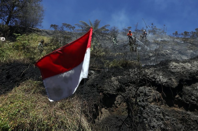 Penanganan karhutla TNBTS diperkuat dengan 540 personel dan pemadaman darat-udara. Total area terdampak mencapai sekitar 921 hektare. (Dok. BNPB)