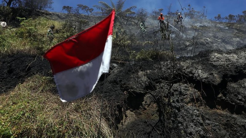 Penanganan karhutla TNBTS diperkuat dengan 540 personel dan pemadaman darat-udara. Total area terdampak mencapai sekitar 921 hektare.