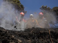 Penanganan karhutla TNBTS diperkuat dengan 540 personel dan pemadaman darat-udara. Total area terdampak mencapai sekitar 921 hektare. (Dok. BNPB)