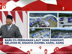 Baru 5% Perikanan Laut Yang Dinikmati Nelayan RI, Sisanya Diambil Kapal Asing