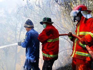 Video Update Bromo: Api Terkendali, Jembatan Kaca Ditutup Sementara!