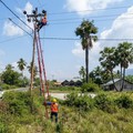 Dok PLN
