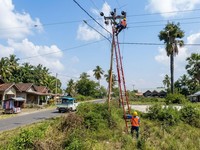Dok PLN