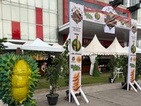 Dok Transmart