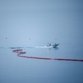 Pemerintah Spanyol mulai memasang penghalang sepanjang 500 meter di perbatasan laut antara wilayah otonom Ceuta dan Maroko, menyusul gelombang besar migran yang menewaskan sedikitnya 67 orang. (REUTERS/Pedro Nunes)