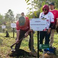 Ribuan warga menghadiri kegiatan penanaman pohon dalam rangka menyambut HUT ke-81 Kemerdekaan Indonesia di Embung Sanggai, Kawasan Inti Pusat Pemerintahan (KIPP) IKN, Penajam Paser Utara, Kalimantan Timur, Sabtu (15/8/2026). (CNBC Indonesia/Tias Budi