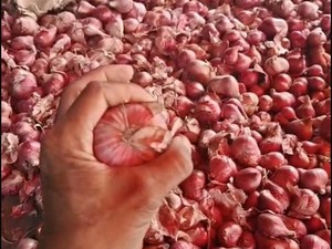 Bawang Merah Thailand Beredar di Pasar Galiran Klungkung, Pedagang Resah