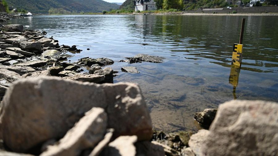 Permukaan air Sungai Rhine di Jerman terus menyusut hingga mencetak rekor terendah seiring terjadinya gelombang panas yang melanda Eropa. (REUTERS/Stephane Nitschke)