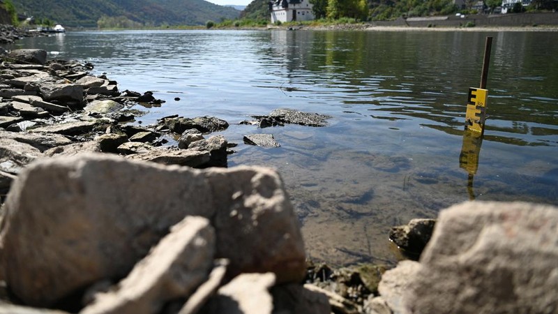 Permukaan air Sungai Rhine di Jerman terus menyusut hingga mencetak rekor terendah seiring terjadinya gelombang panas yang melanda Eropa. (REUTERS/Stephane Nitschke)