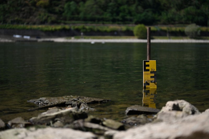 Permukaan air Sungai Rhine di Jerman terus menyusut hingga mencetak rekor terendah seiring terjadinya gelombang panas yang melanda Eropa. (REUTERS/Stephane Nitschke)