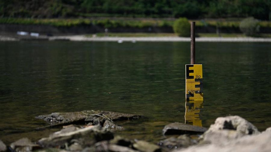 Permukaan air Sungai Rhine di Jerman terus menyusut hingga mencetak rekor terendah seiring terjadinya gelombang panas yang melanda Eropa. (REUTERS/Stephane Nitschke)