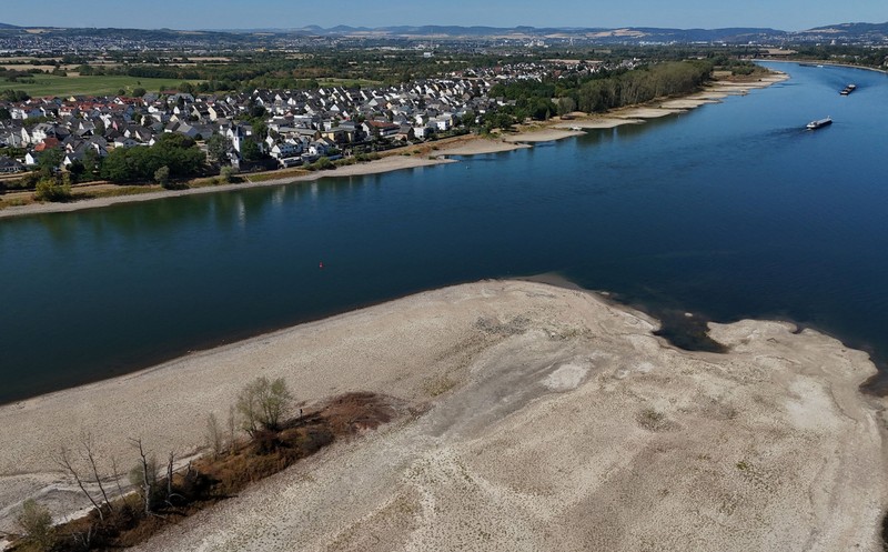 Permukaan air Sungai Rhine di Jerman terus menyusut hingga mencetak rekor terendah seiring terjadinya gelombang panas yang melanda Eropa. (REUTERS/Stephane Nitschke)