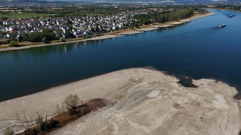 Permukaan air Sungai Rhine di Jerman terus menyusut hingga mencetak rekor terendah seiring terjadinya gelombang panas yang melanda Eropa. (REUTERS/Stephane Nitschke)