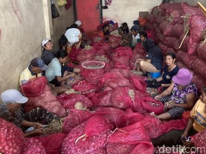Video: Kisah Buruh Kupas Bawang di Bali, Dibayar Rp1.000 per Kg