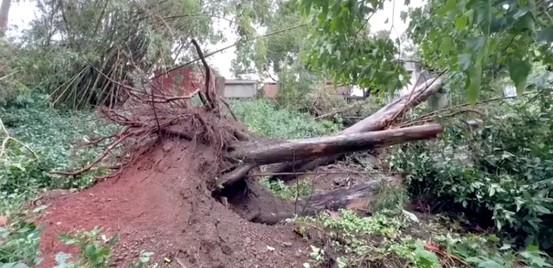 Hawaii mengalami pemadaman pada tengah hari Minggu (16 Agustus) setelah Badai Lala melintasi wilayah Big Island sebelum kekuatannya menurun menjadi badai tropis. (REUTERS)