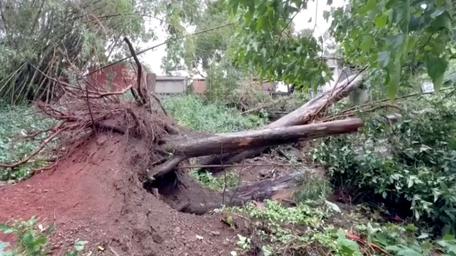 Hawaii mengalami pemadaman pada tengah hari Minggu (16 Agustus) setelah Badai Lala melintasi wilayah Big Island sebelum kekuatannya menurun menjadi angin besar tropis. (REUTERS)