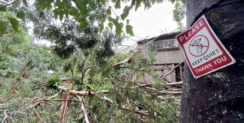 Hawaii mengalami pemadaman pada tengah hari Minggu (16 Agustus) setelah Badai Lala melintasi wilayah Big Island sebelum kekuatannya menurun menjadi badai tropis. (REUTERS)