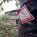 Porak Poranda Diterjang Badai Lala, Ribuan Orang Hadapi Krisis Listrik