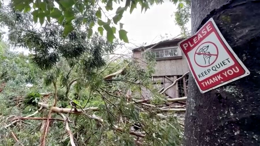 Hawaii mengalami pemadaman pada tengah hari Minggu (16 Agustus) setelah Badai Lala melintasi wilayah Big Island sebelum kekuatannya menurun menjadi angin besar tropis. (REUTERS)