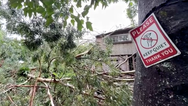 Porak Poranda Diterjang Badai Lala, Ribuan Orang Hadapi Krisis Listrik