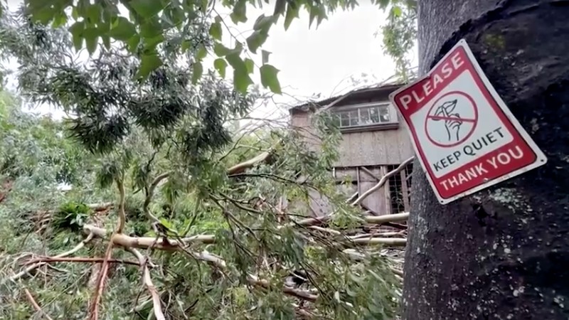 Hawaii mengalami pemadaman pada tengah hari Minggu (16 Agustus) setelah Badai Lala melintasi wilayah Big Island sebelum kekuatannya menurun menjadi badai tropis. (REUTERS)