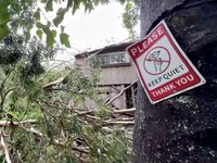 Porak Poranda Diterjang Badai Lala, Ribuan Orang Hadapi Krisis Listrik