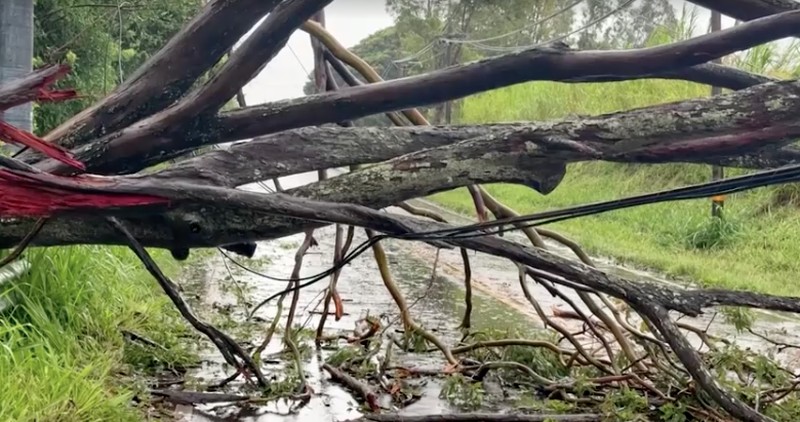 Hawaii mengalami pemadaman pada tengah hari Minggu (16 Agustus) setelah Badai Lala melintasi wilayah Big Island sebelum kekuatannya menurun menjadi badai tropis. (REUTERS)