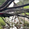 Hawaii mengalami pemadaman pada tengah hari Minggu (16 Agustus) setelah Badai Lala melintasi wilayah Big Island sebelum kekuatannya menurun menjadi badai tropis. (REUTERS)