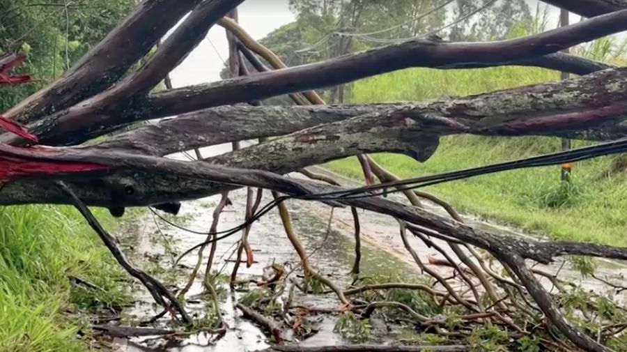 Hawaii mengalami pemadaman pada tengah hari Minggu (16 Agustus) setelah Badai Lala melintasi wilayah Big Island sebelum kekuatannya menurun menjadi angin besar tropis. (REUTERS)