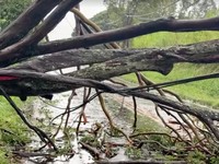 Hawaii mengalami pemadaman pada tengah hari Minggu (16 Agustus) setelah Badai Lala melintasi wilayah Big Island sebelum kekuatannya menurun menjadi badai tropis. (REUTERS)