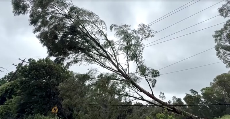 Hawaii mengalami pemadaman pada tengah hari Minggu (16 Agustus) setelah Badai Lala melintasi wilayah Big Island sebelum kekuatannya menurun menjadi badai tropis. (REUTERS)