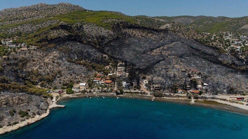 Kondisi area yang hangus terbakar akibat kebakaran hutan di wilayah Peristeria, Pulau Salamina, dekat Athena, Yunani, Senin (17/8/2026). (REUTERS/Stelios Misinas)