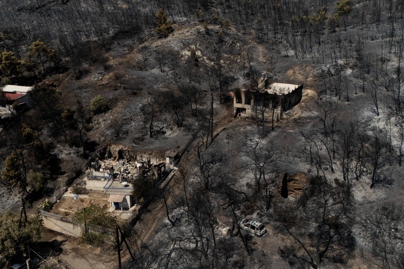Kondisi area yang hangus terbakar akibat kebakaran hutan di wilayah Peristeria, Pulau Salamina, dekat Athena, Yunani, Senin (17/8/2026). (REUTERS/Stelios Misinas)
