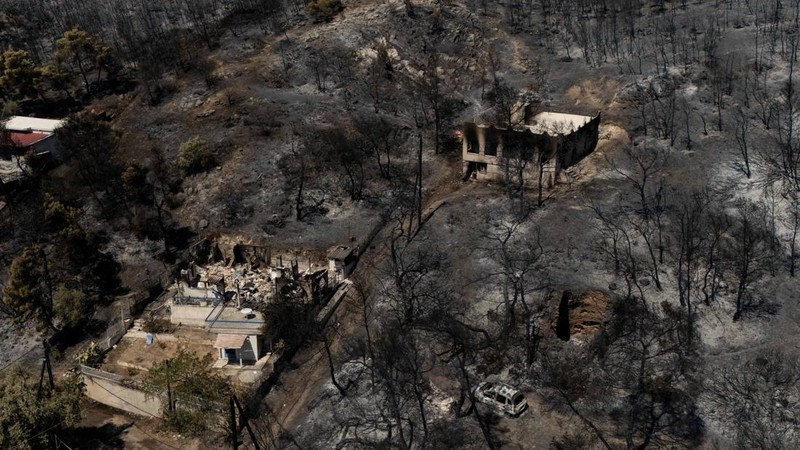 Kondisi area yang hangus terbakar akibat kebakaran hutan di wilayah Peristeria, Pulau Salamina, dekat Athena, Yunani, Senin (17/8/2026). (REUTERS/Stelios Misinas)