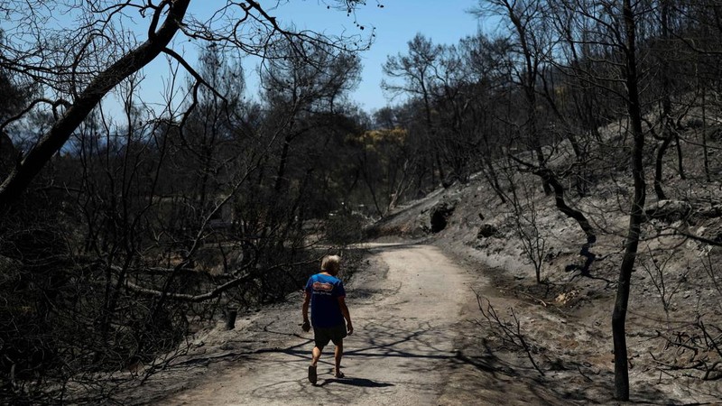 Kondisi area yang hangus terbakar akibat kebakaran hutan di wilayah Peristeria, Pulau Salamina, dekat Athena, Yunani, Senin (17/8/2026). (REUTERS/Stelios Misinas)