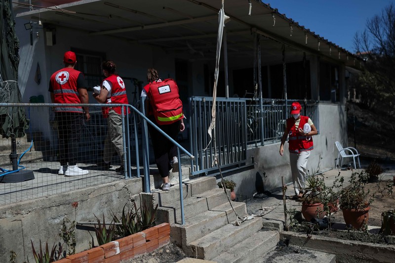 Kondisi area yang hangus terbakar akibat kebakaran hutan di wilayah Peristeria, Pulau Salamina, dekat Athena, Yunani, Senin (17/8/2026). (REUTERS/Stelios Misinas)