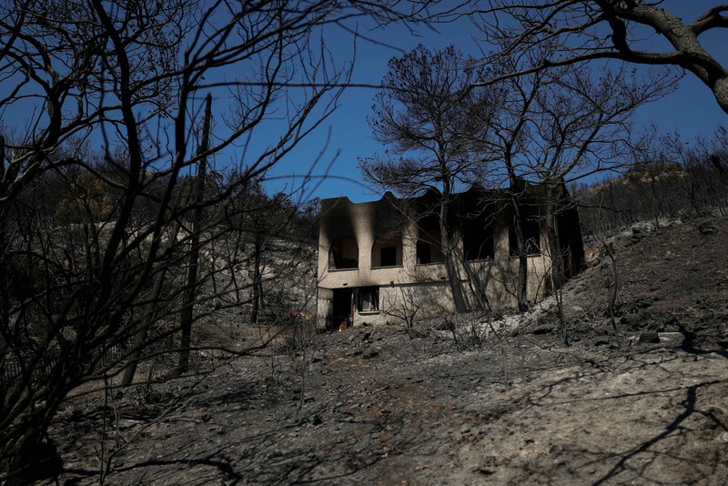 Kondisi area yang hangus terbakar akibat kebakaran hutan di wilayah Peristeria, Pulau Salamina, dekat Athena, Yunani, Senin (17/8/2026). (REUTERS/Stelios Misinas)
