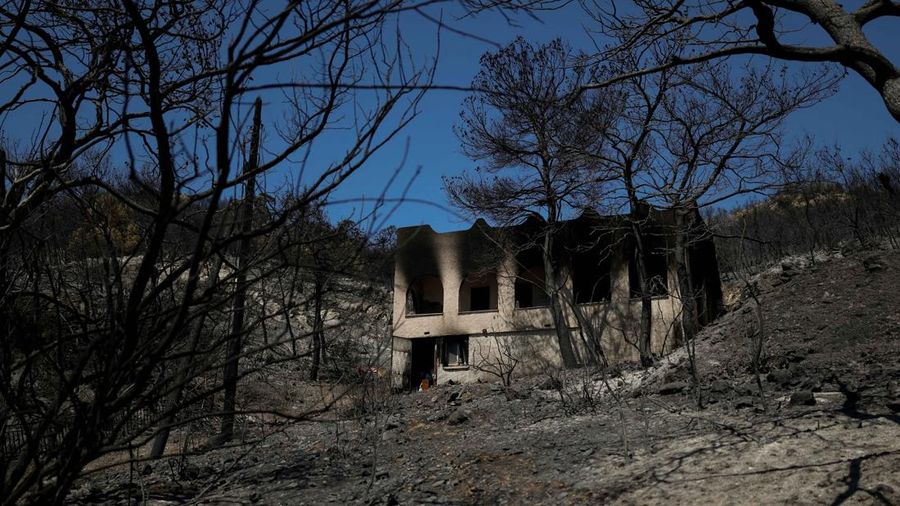 Kondisi area yang hangus terbakar akibat kebakaran hutan di wilayah Peristeria, Pulau Salamina, dekat Athena, Yunani, Senin (17/8/2026). (REUTERS/Stelios Misinas)
