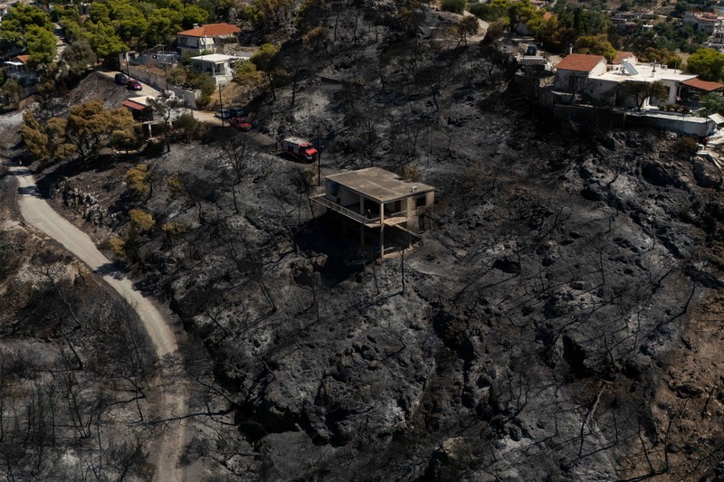 Kondisi area yang hangus terbakar akibat kebakaran hutan di wilayah Peristeria, Pulau Salamina, dekat Athena, Yunani, Senin (17/8/2026). (REUTERS/Stelios Misinas)