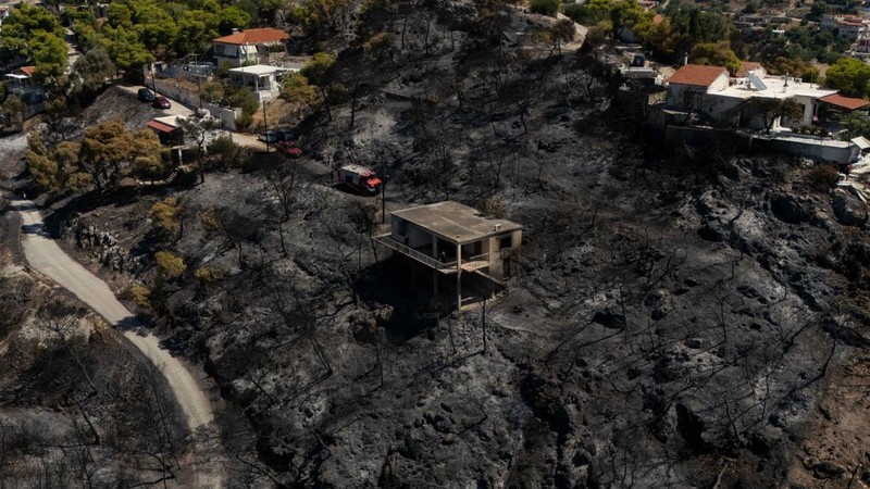 Kondisi area yang hangus terbakar akibat kebakaran hutan di wilayah Peristeria, Pulau Salamina, dekat Athena, Yunani, Senin (17/8/2026). (REUTERS/Stelios Misinas)