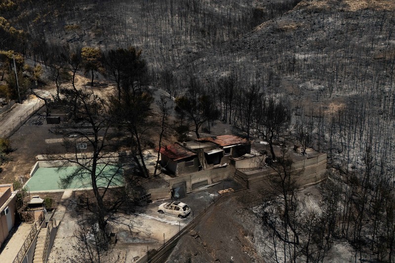Kondisi area yang hangus terbakar akibat kebakaran hutan di wilayah Peristeria, Pulau Salamina, dekat Athena, Yunani, Senin (17/8/2026). (REUTERS/Stelios Misinas)