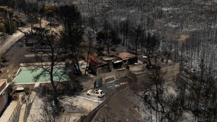Kondisi area yang hangus terbakar akibat kebakaran hutan di wilayah Peristeria, Pulau Salamina, dekat Athena, Yunani, Senin (17/8/2026). (REUTERS/Stelios Misinas)