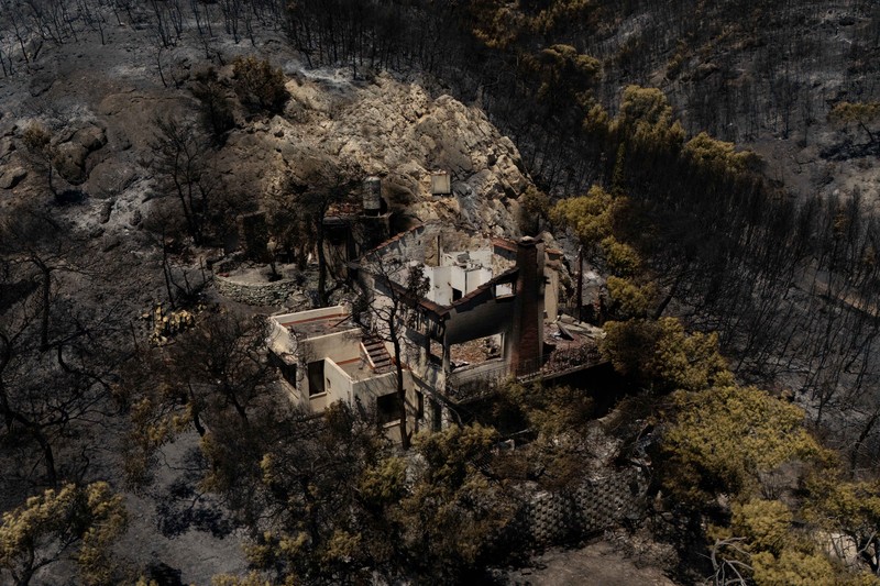 Kondisi area yang hangus terbakar akibat kebakaran hutan di wilayah Peristeria, Pulau Salamina, dekat Athena, Yunani, Senin (17/8/2026). (REUTERS/Stelios Misinas)